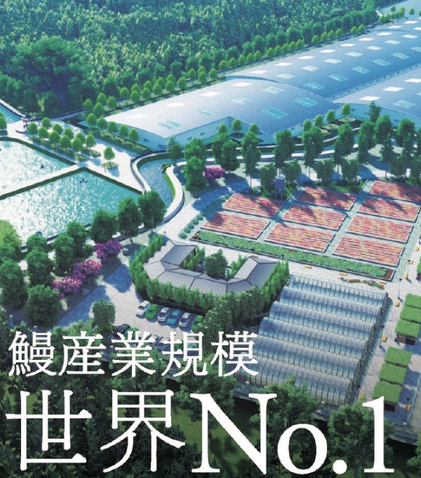 鰻産業規模世界No.1