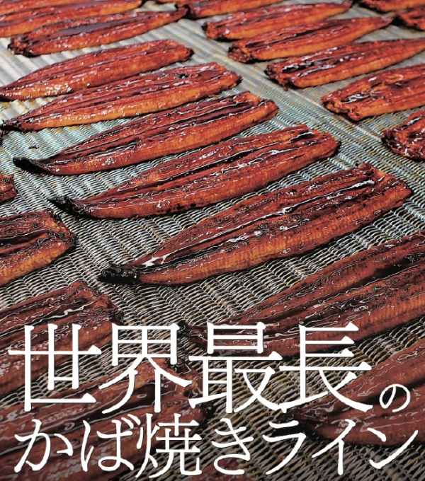 世界最長のかば焼きライン
