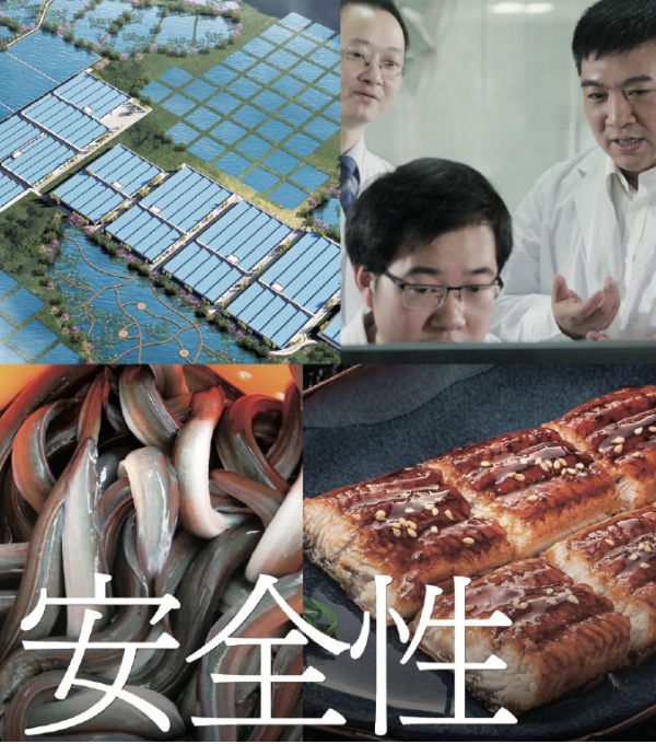 安全性